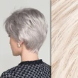 Kép 2/2 - Cara 100 Deluxe Silver Mix paróka back