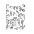 Kép 13/23 - Richard Corson - Fashions in Hair - The first five thousand years