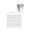 Kép 4/23 - Richard Corson - Fashions in Hair - The first five thousand years