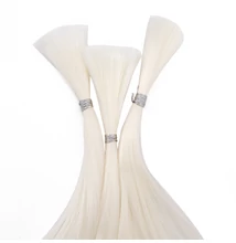 Organikus protein haj