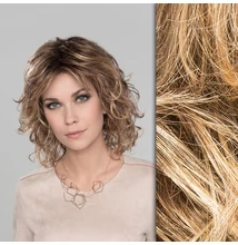 cat light bernstein rooted paroka