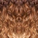 DXR4677