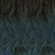 T1B/DARKTEAL