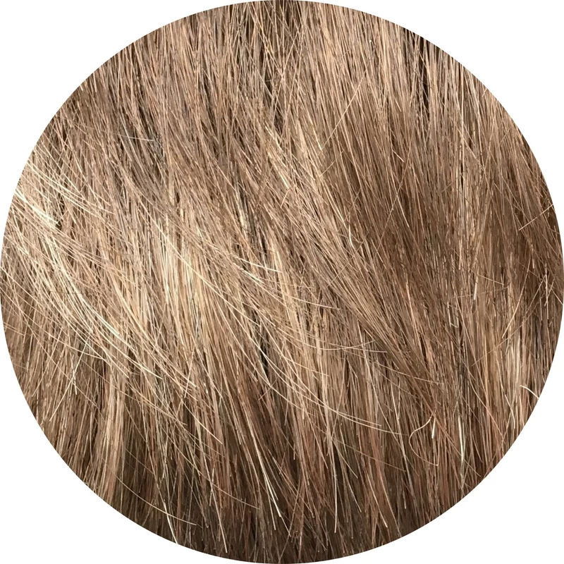 Honey Wheat