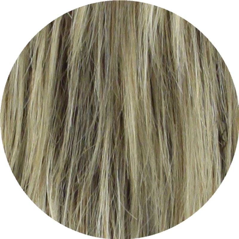 Sandalwood Highlight