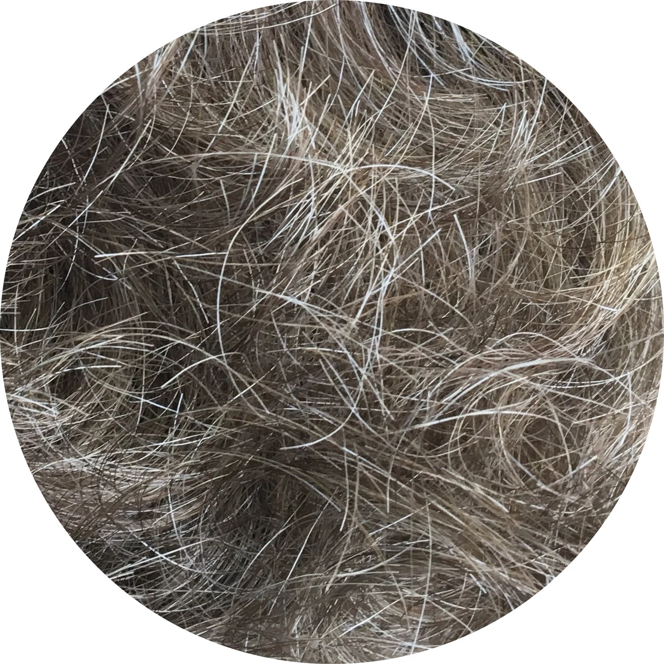 Elegant Medium paróka