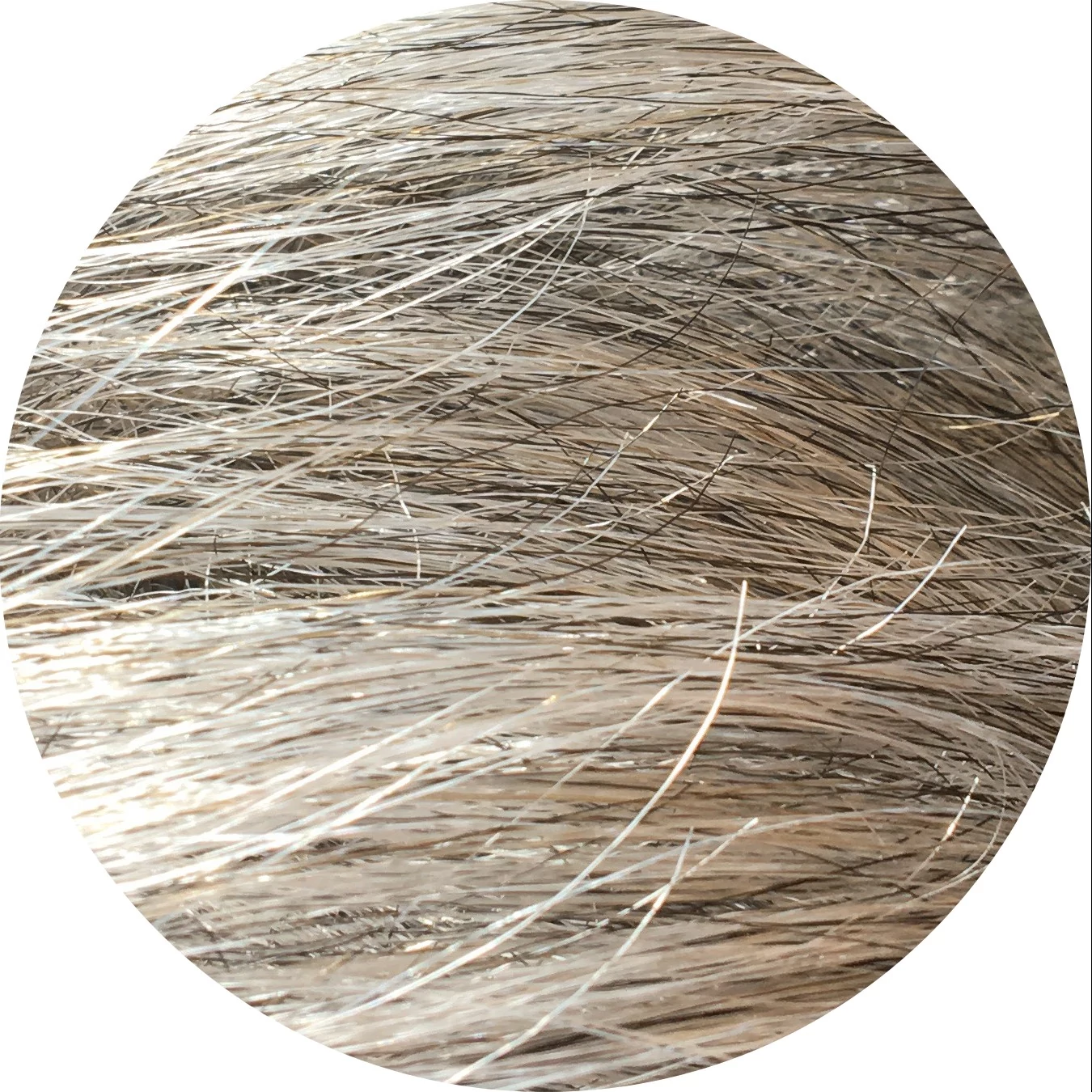 Elegant Long paróka